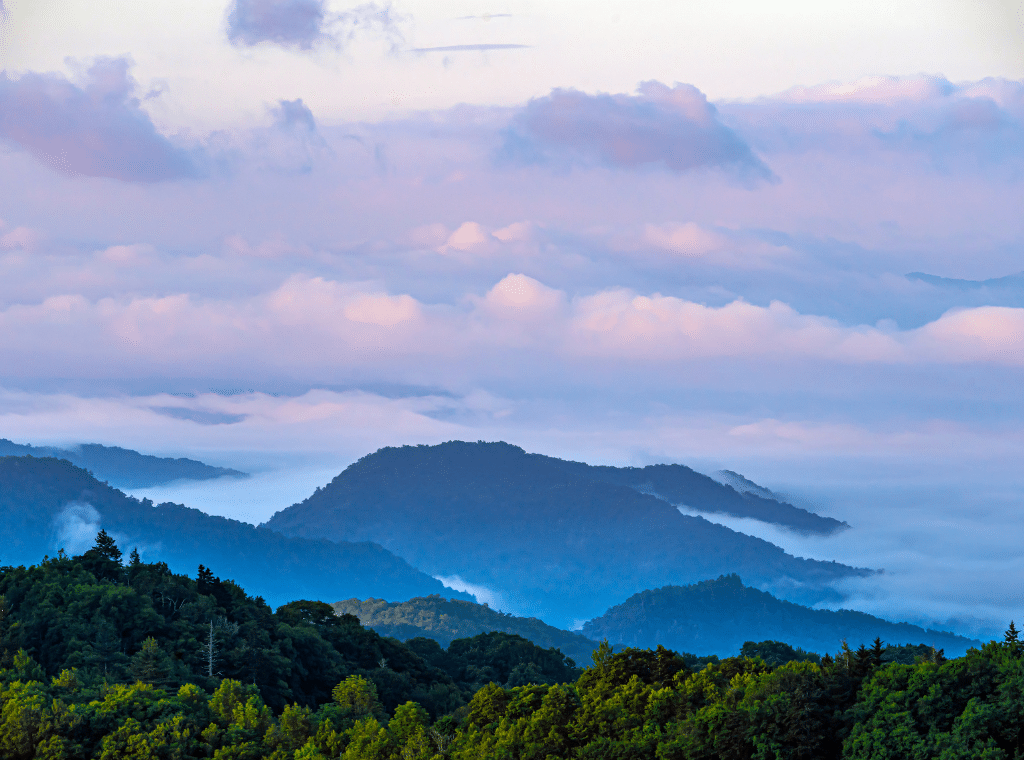 Places to Visit in North Carolina