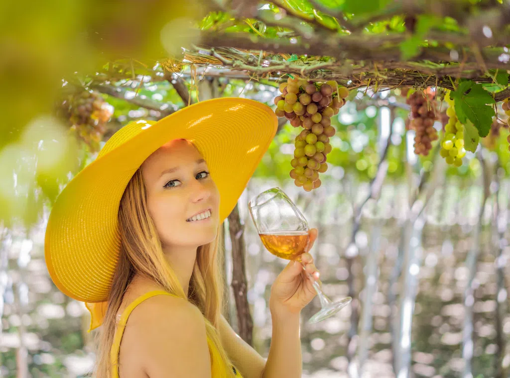 Vineyards at Lake Wylie