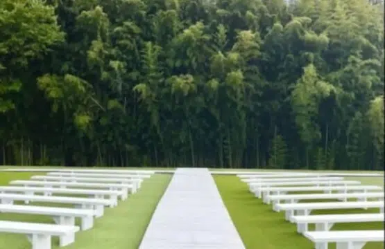 23278 254503 fQYNrP6WaiXGB8WUJ7oHQw8P9 Om6NSD9As20pTxEM 672a7b5030c6f.jpg
