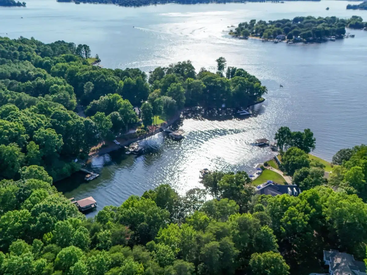 23278 288620 0IJbFlG fLE6BjOW1t3lRhi04w3SIWaBCOG3xh86ZJo 66b6358637c7c.jpg