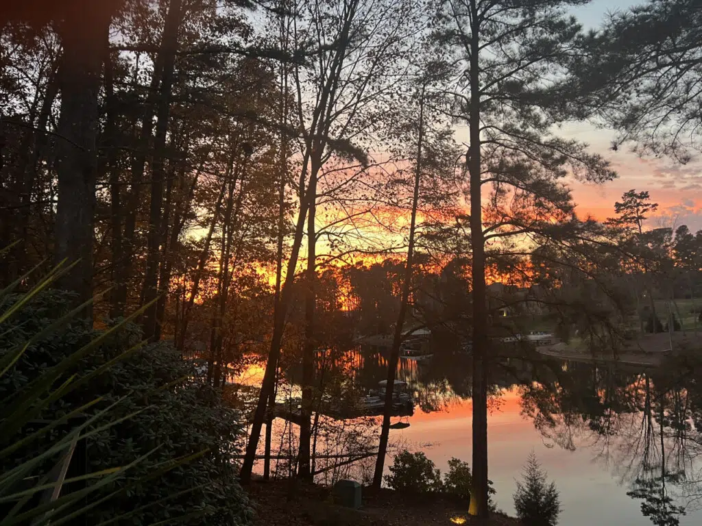 23278 205629 GNCpFVtgUJuGyLVr pWagObLSPFON5jElEnBzR 5Av0 691e2730e30dc.jpg