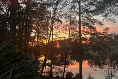 23278 205629 GNCpFVtgUJuGyLVr pWagObLSPFON5jElEnBzR 5Av0 691e2730e30dc.jpg