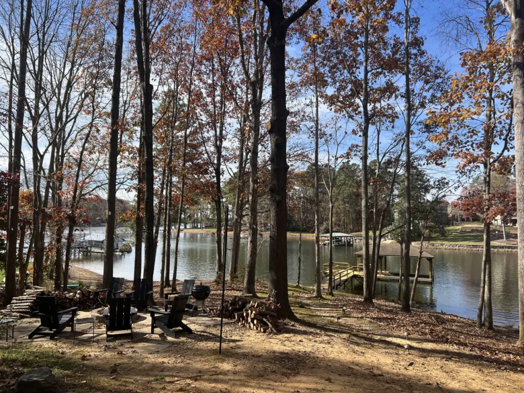 23278 205629 dB PXbueQtnIwysKC7e DISx2SCXttiNFxMIlkdl7Bk 691e275e3f24c.jpg