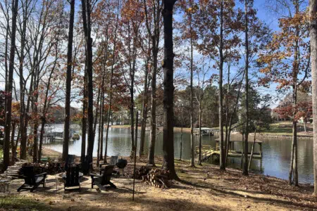 23278 205629 dB PXbueQtnIwysKC7e DISx2SCXttiNFxMIlkdl7Bk 691e275e3f24c.jpg