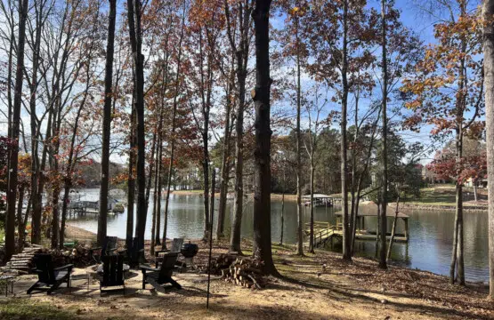 23278 205629 dB PXbueQtnIwysKC7e DISx2SCXttiNFxMIlkdl7Bk 691e275e3f24c.jpg