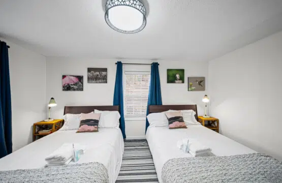 23278 205629 dNJ8N4z1edeLQ R5ifOyWWV2MnBBPiljfoQWz7v4 UU 692106098511d.jpg