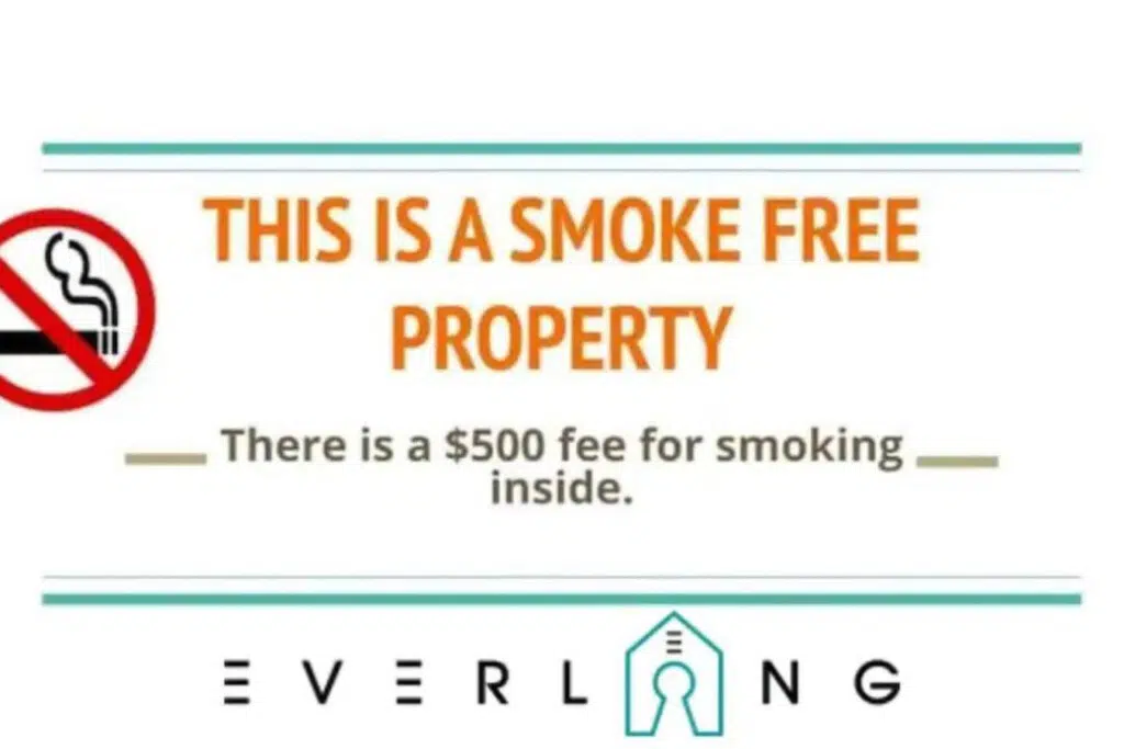 23278 450965 HJOiyPFbHJbPzj3RuFP5 BbgnyqVcQYNVlaOgI0Tiy8 690f9419cbcdb.jpg